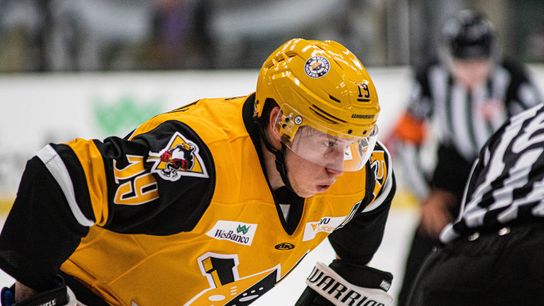 Wheeling Watch: Powell looks to break into AHL taken at PPG Paints Arena (Penguins)