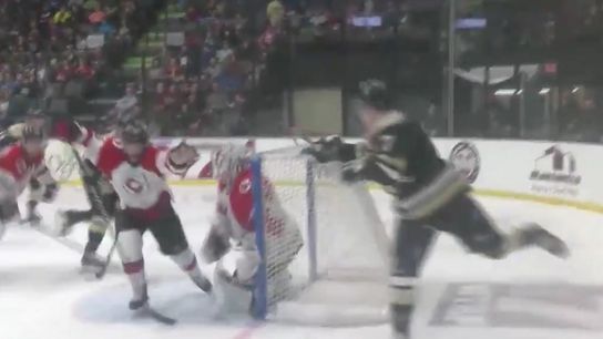 Video: Nailers' Hawkins scores lacrosse-style goal taken at PPG Paints Arena (Penguins)