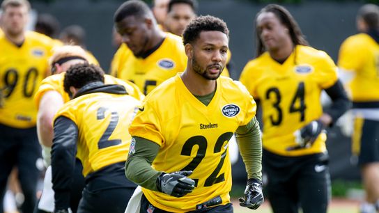 New guy Nelson feels 'good chemistry' with Steelers taken at Rooney Complex (Steelers)