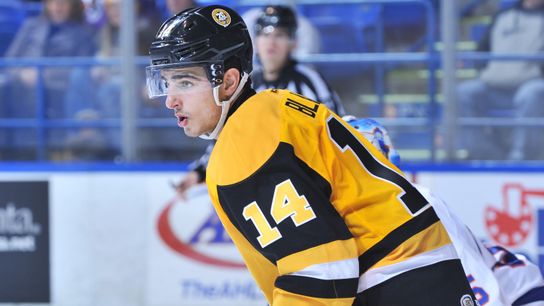 Penguins recall Blandisi from Wilkes-Barre taken in Columbus, Ohio (Penguins)