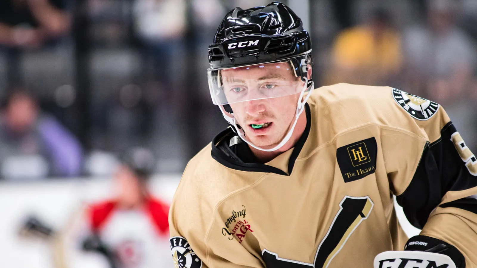 Nailers name Fick, Saracino co-captains taken at Highmark Stadium (Wheeling Nailers)