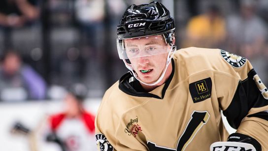 Nailers name Fick, Saracino co-captains taken at Highmark Stadium (Wheeling Nailers)