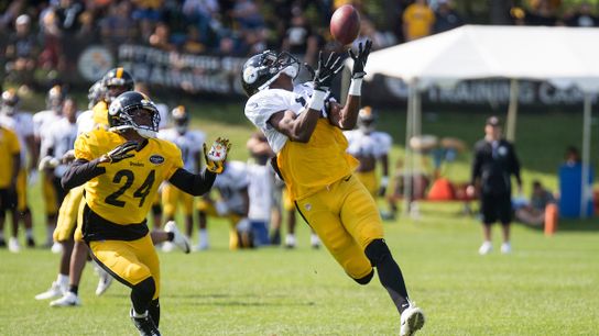 Carter's Classroom: Wide receiver Hunter is Sunday's player to watch taken at Highmark Stadium (Steelers)