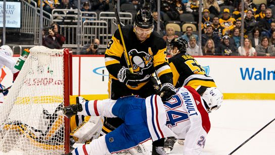 NHLPA, including Penguins, OK playoff format taken on the North Shore (Penguins)
