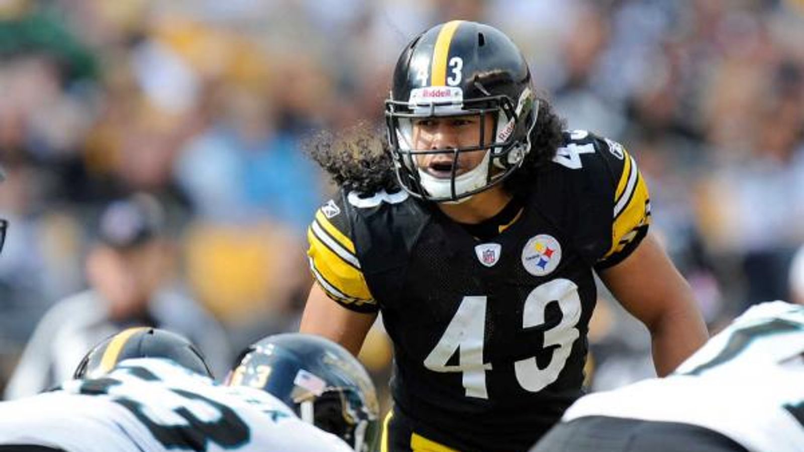 Troy Polamalu has new appreciation for game