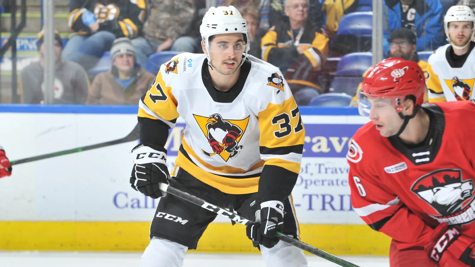 Miletic replaces Agozzino in AHL All-Star Game taken in St. Louis (Penguins)