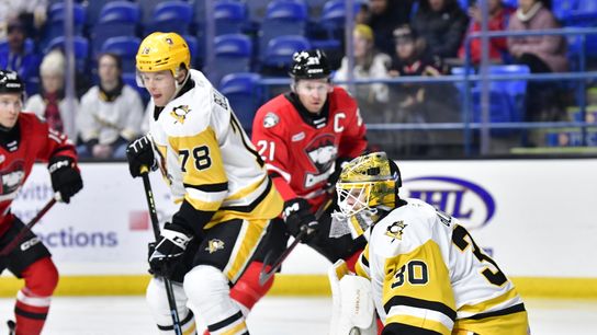 AHL: Wilkes-Barre shut out by Charlotte taken Ottawa