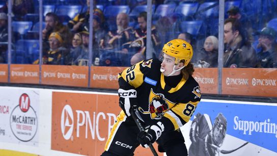 Kral: Brunicke doing 'great job' in AHL taken Cranberry, Pa.