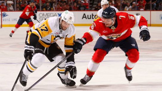 Drive to the Net: Handling Panthers' 'aggression' taken Sunrise, Fla.