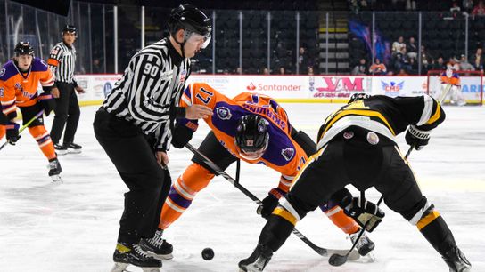 ECHL: Nailers set new franchise point streak record taken Ottawa