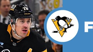 Malkin activated from IR taken in Cranberry, Pa. (Penguins)