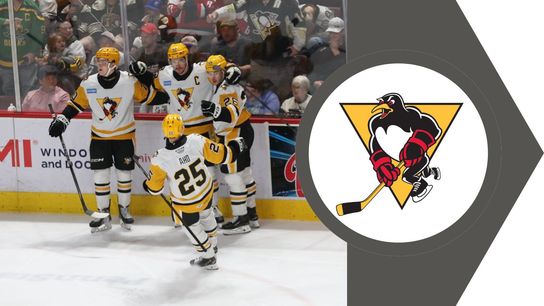 Wilkes-Barre advances to next round taken in Wilkes-Barre, Pa. (PENGUINS (AHL))