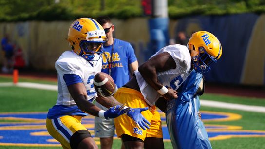 Linebackers to restore physicality, energy to revamped defense taken on the South Side (Pitt)