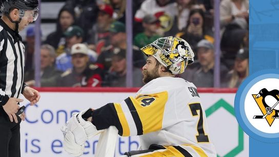 Another lost goalie interference taken in Ottawa