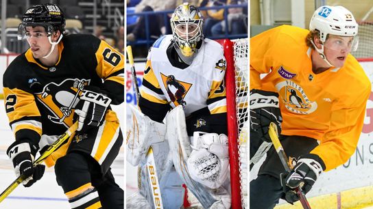 Haase: Ranking the top 10 prospects in the Penguins' system taken in Downtown (Penguins)